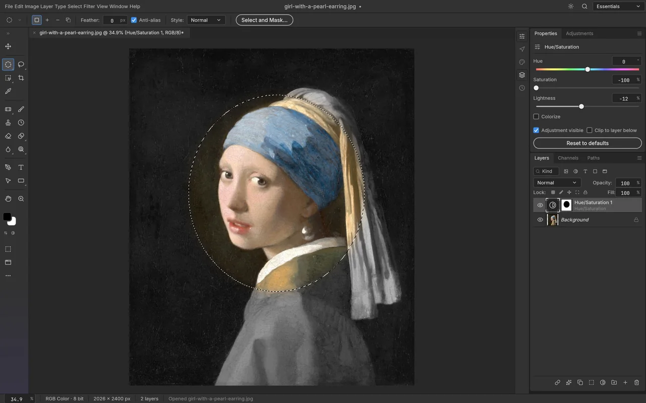 PhotoCraft selection and layer mask controls on Girl with a Pearl Earring.